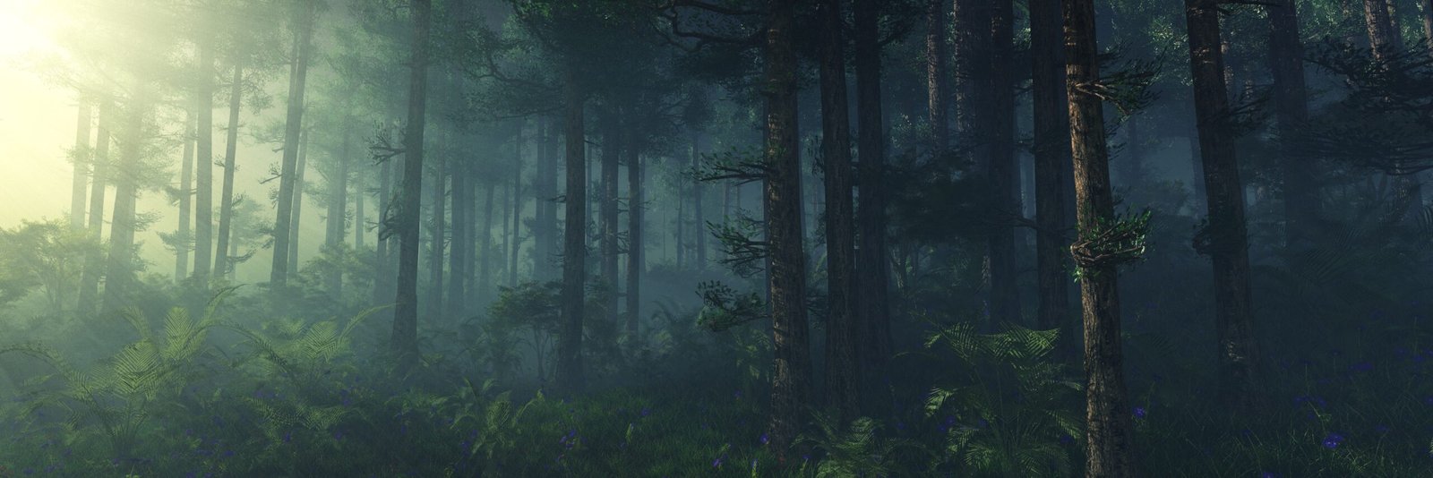 Waldlandschaft als Symbol für erneuerbare Energie und Ökostrom